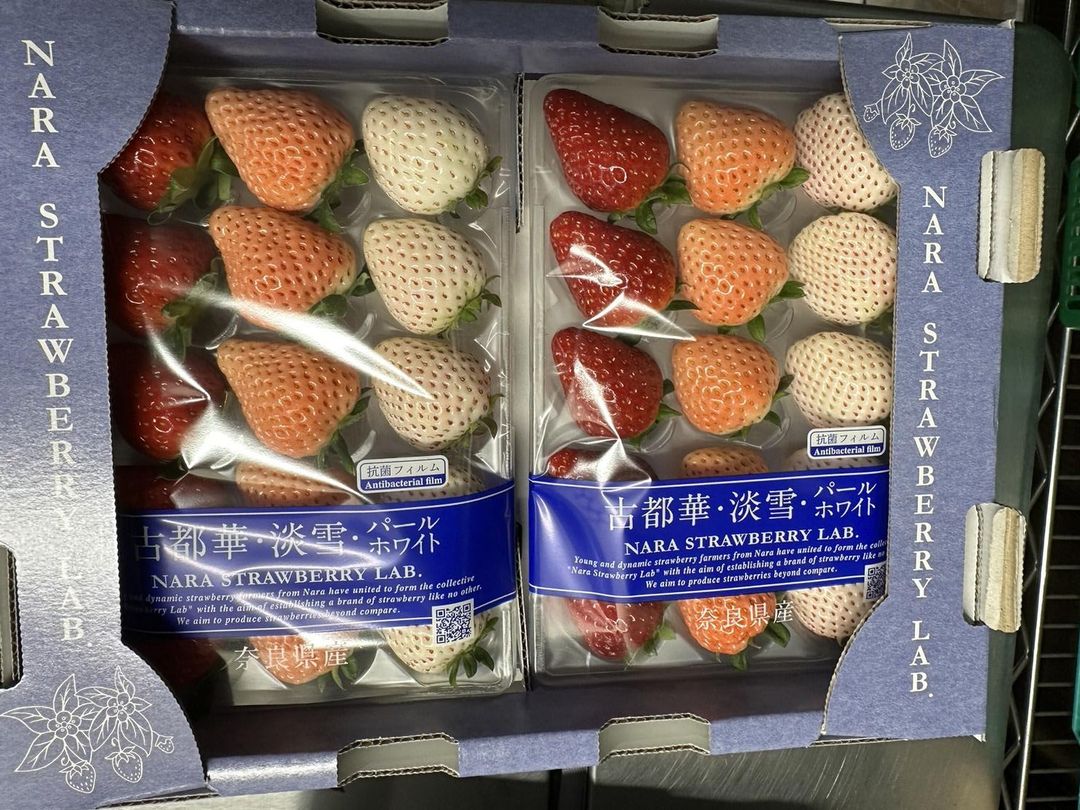 NARA STRAWBERRY (3 COLOURS)