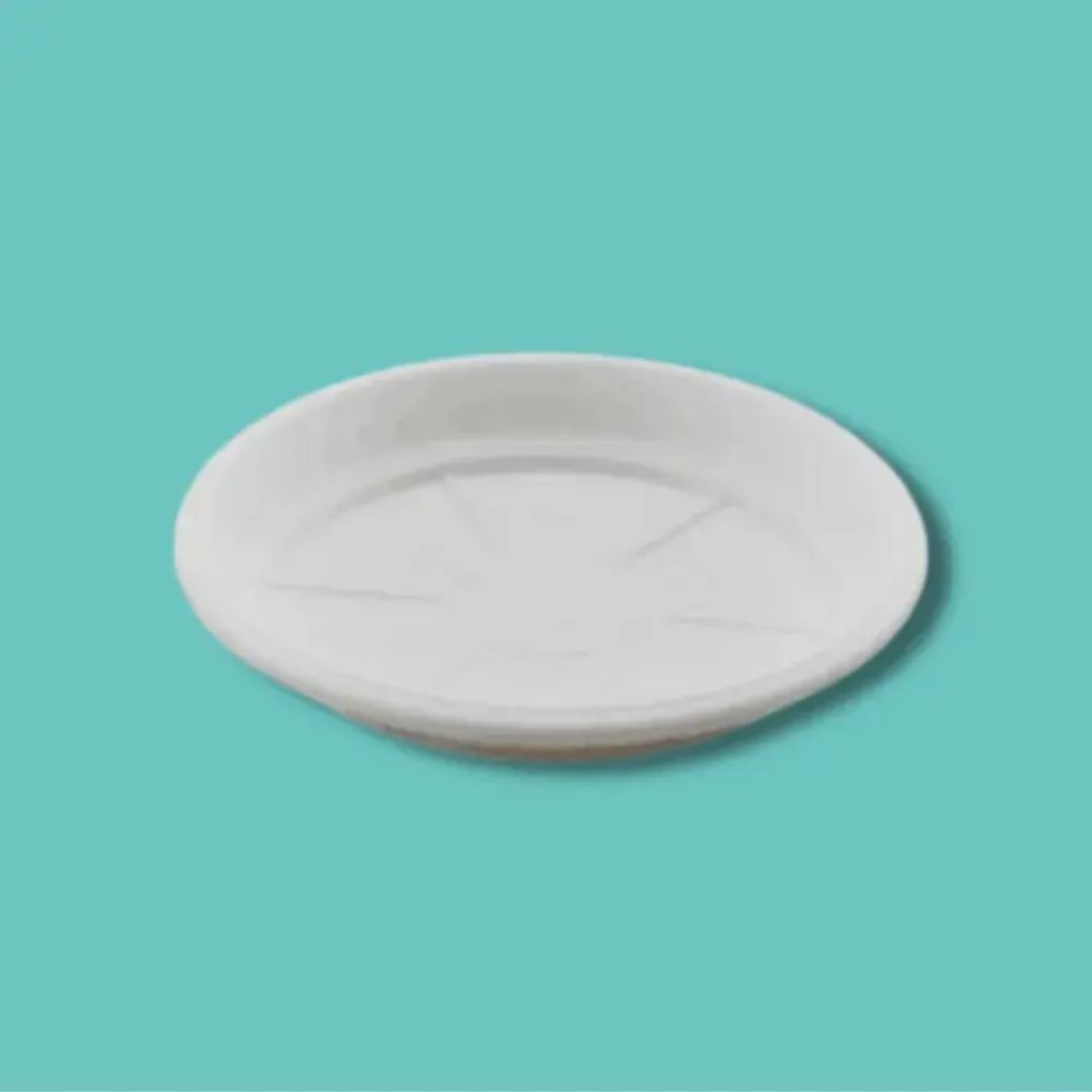 Round Plastic Plate White Medium