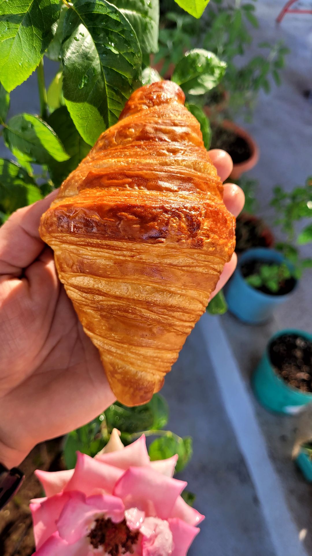 Croissant Simple 