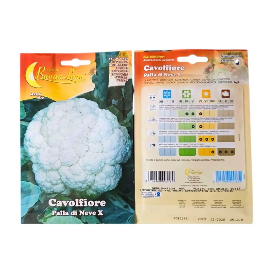 Cauliflower Seed