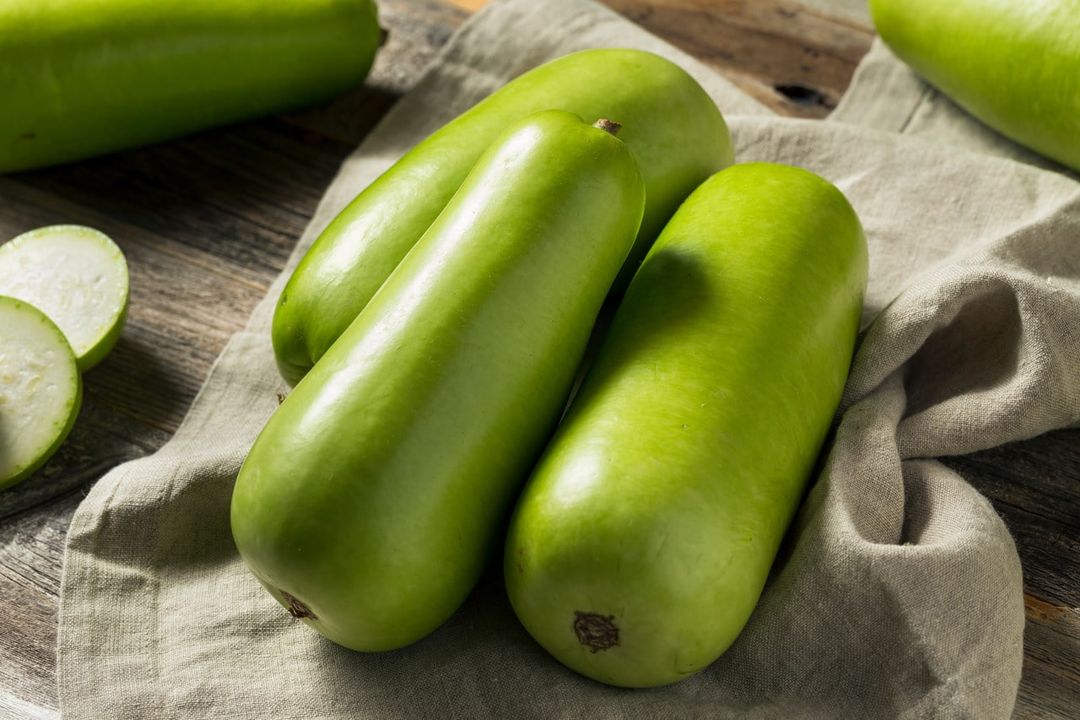 Bottle Gourd (Malaysia)