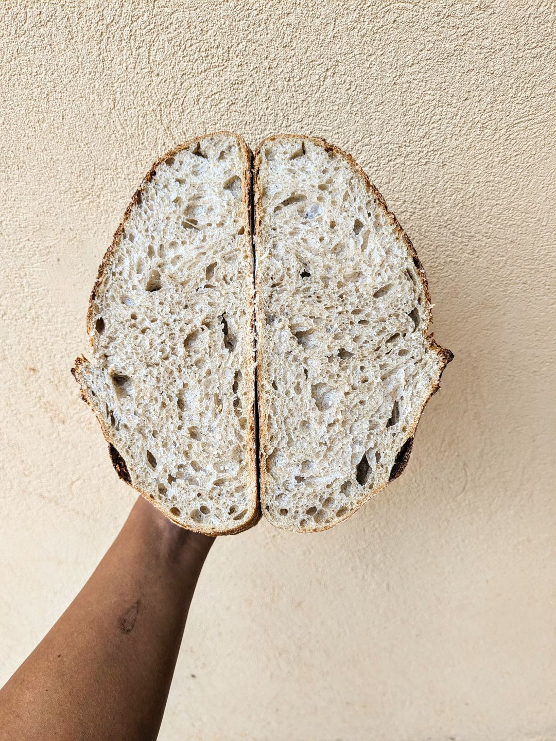 Large Kenyan Classic Sourdough