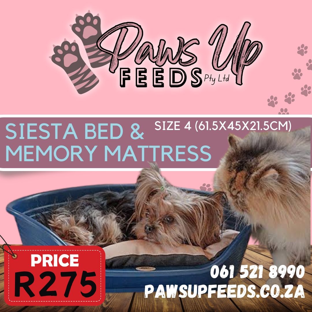 Siesta Bed & Mattress