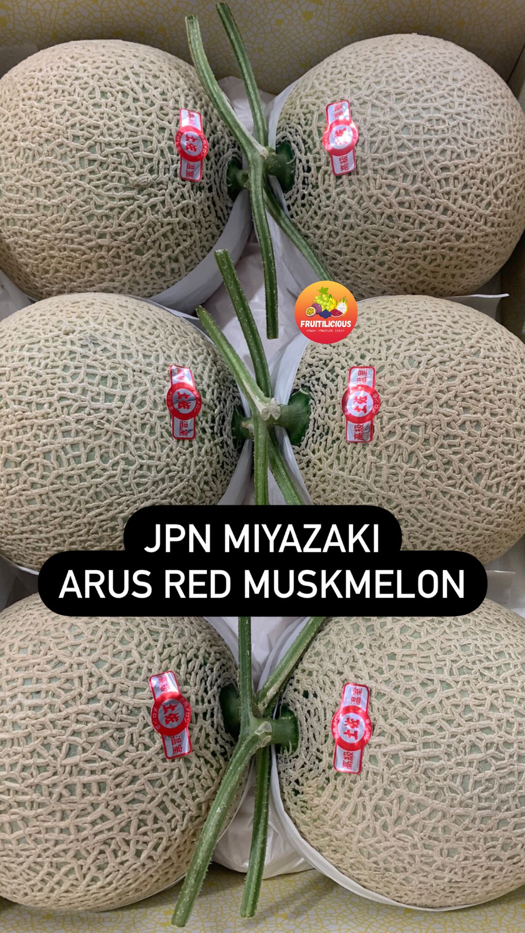 JPN KUMAMOTO ARUS RED MUSKMELON