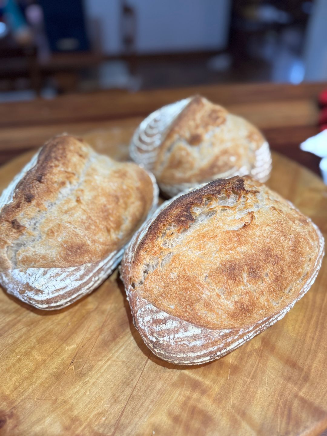 Sourdough Bread