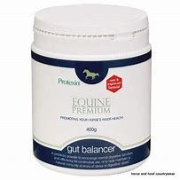 PROTEXIN PREMIUM (EQUINE) 1KG