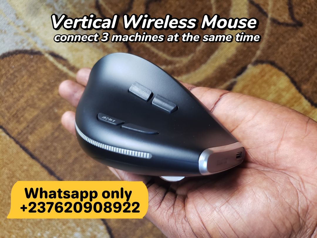 VERTICAL WIRELESS MOUSE ZELOTES F-36