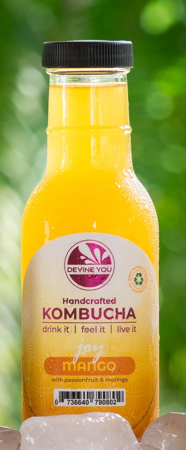 Kombucha: Mango with passionfruit & moringa