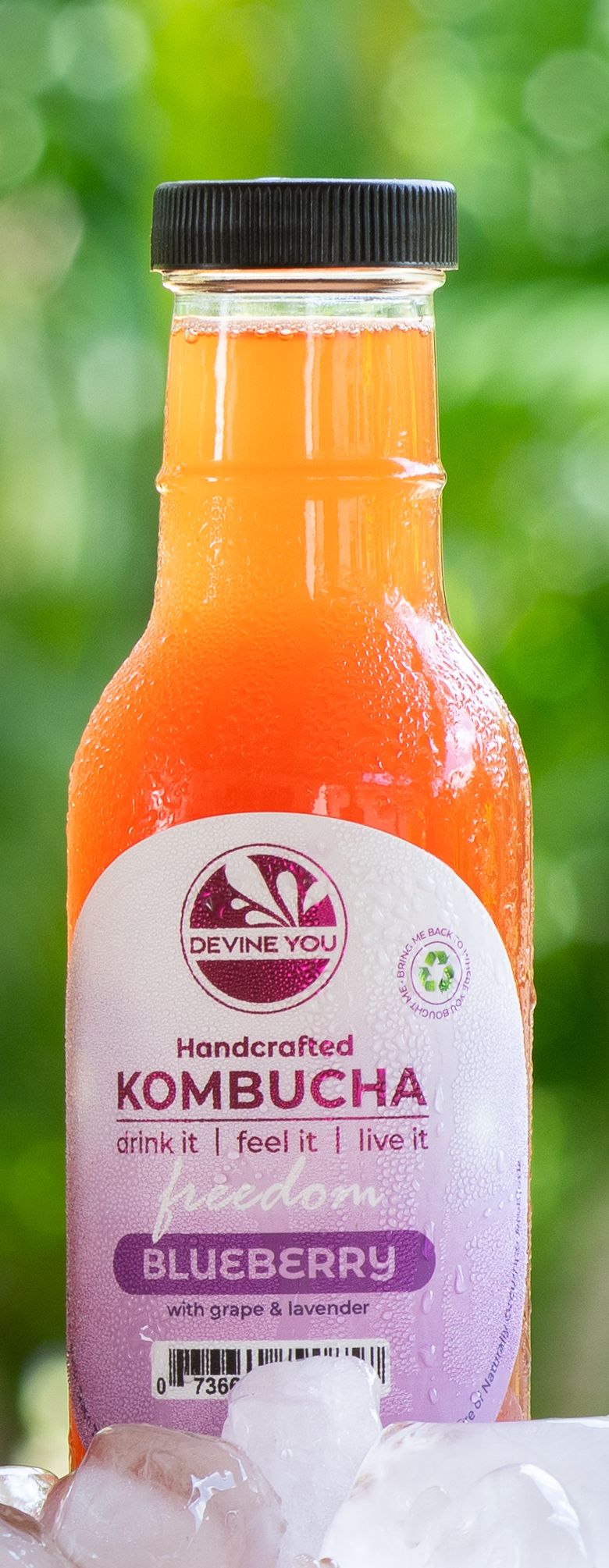 Kombucha: Blueberry with grape & lavender