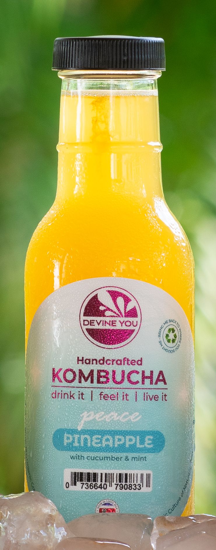 Kombucha: Pineapple with cucumber & mint