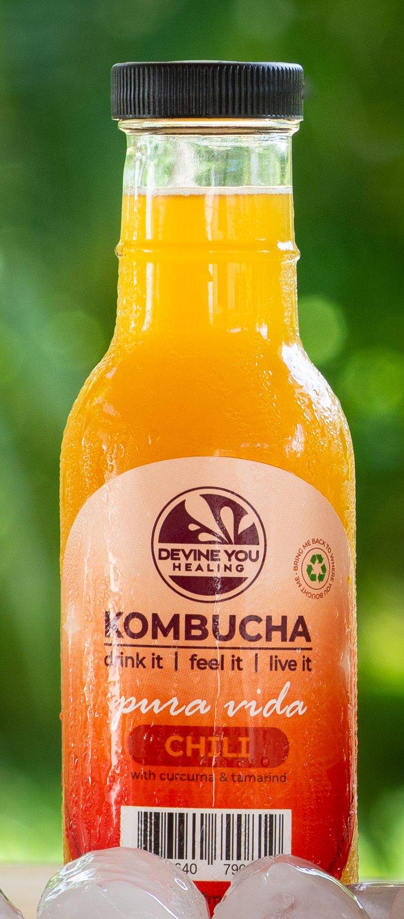 Kombucha: Chili with curcuma & tamarind