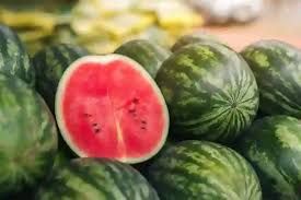 Medium Watermelon