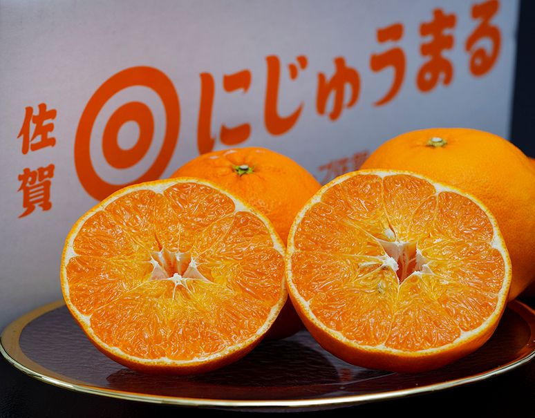 Nijyumaru Orange (Saga Prefecture) | にじゅうまる (per pcs)