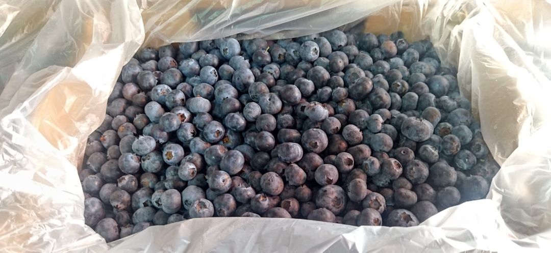 1kg Blueberries