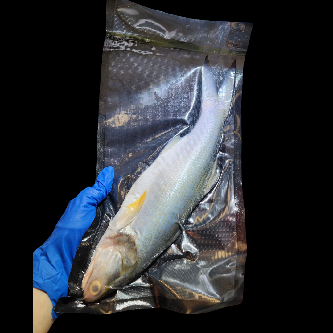 台灣馬友魚 🐟（大/細 Size）（已清洗及處理好）