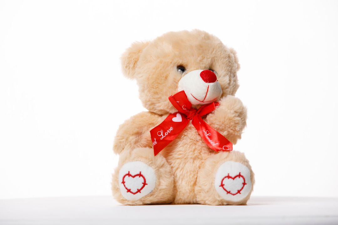 Teddy Love