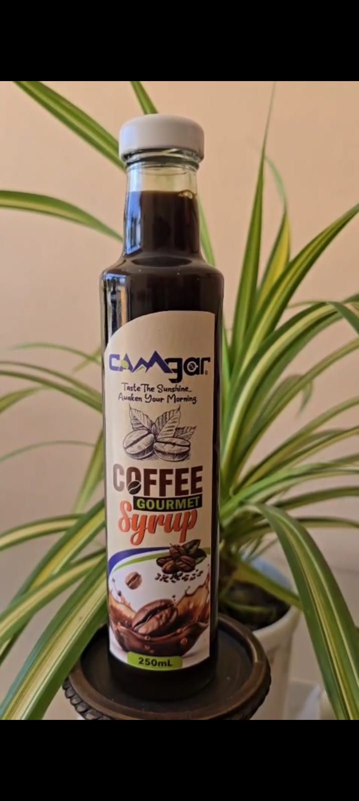 Gourmet Coffee Syrup