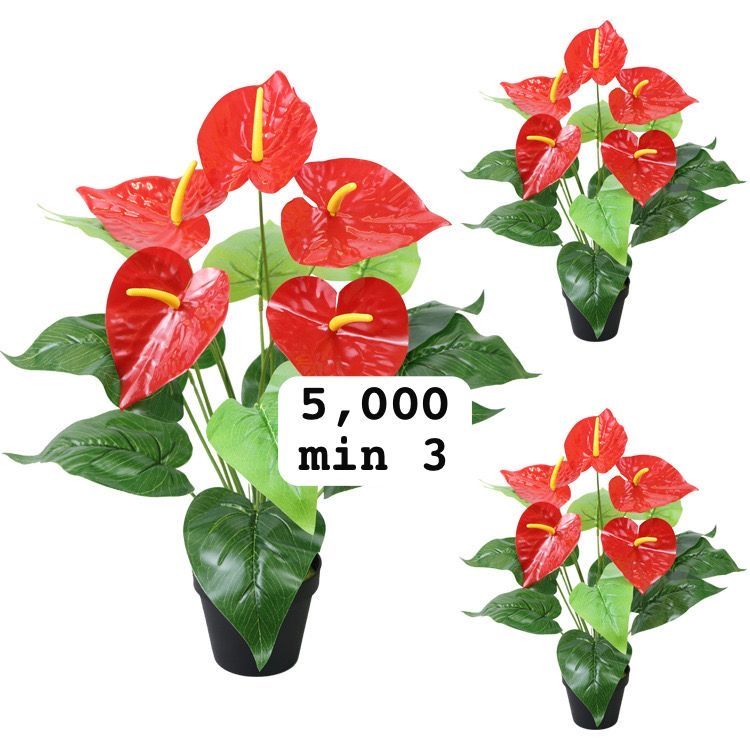 Flowers 5000 usafiri tu