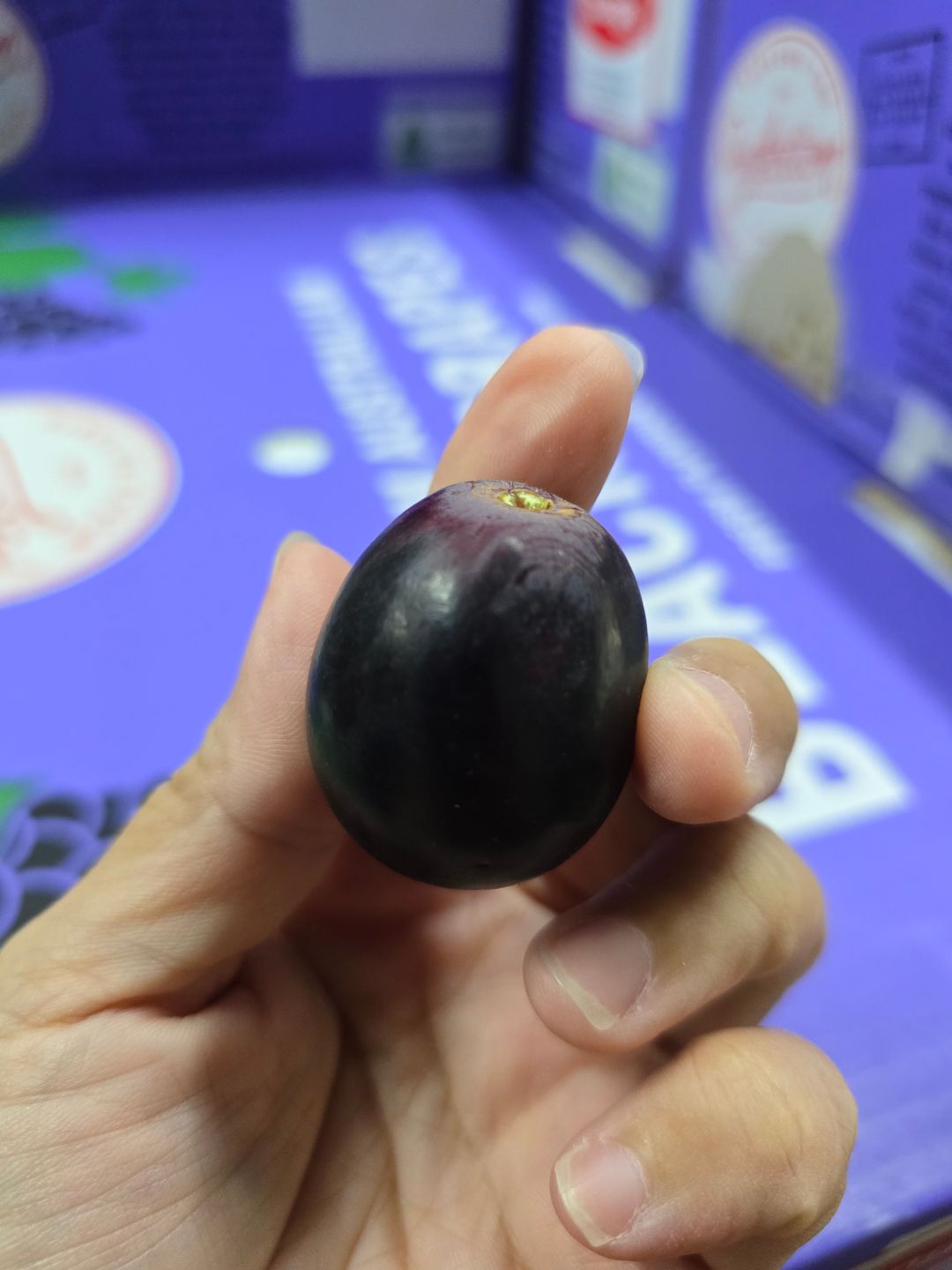 Aust Adora Grapes (1kg)
