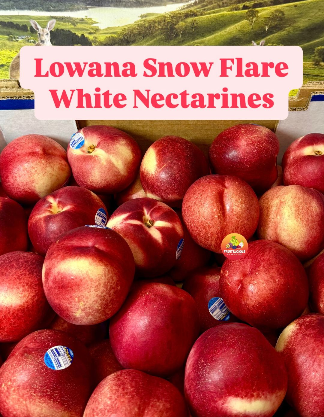 AUS LOWANA SNOW FLARE WHITE NECTARINES