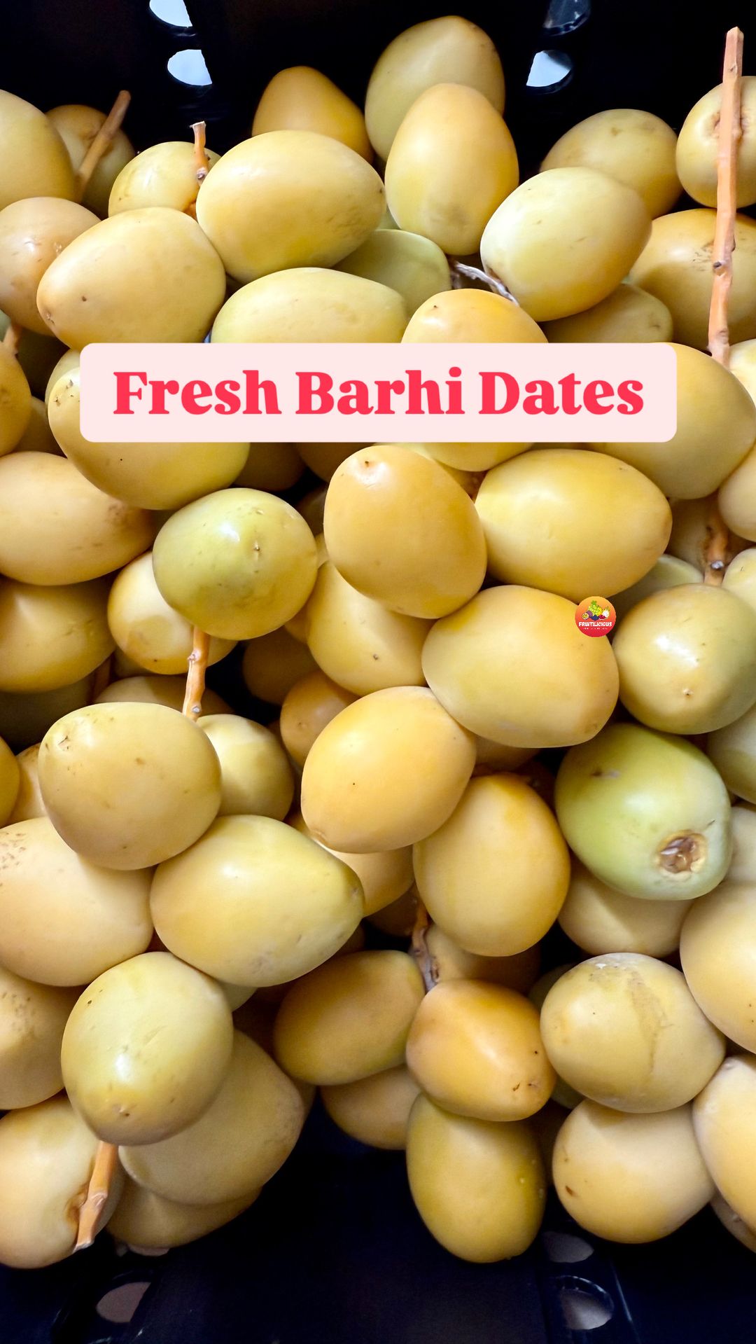FRESH BARHI DATES