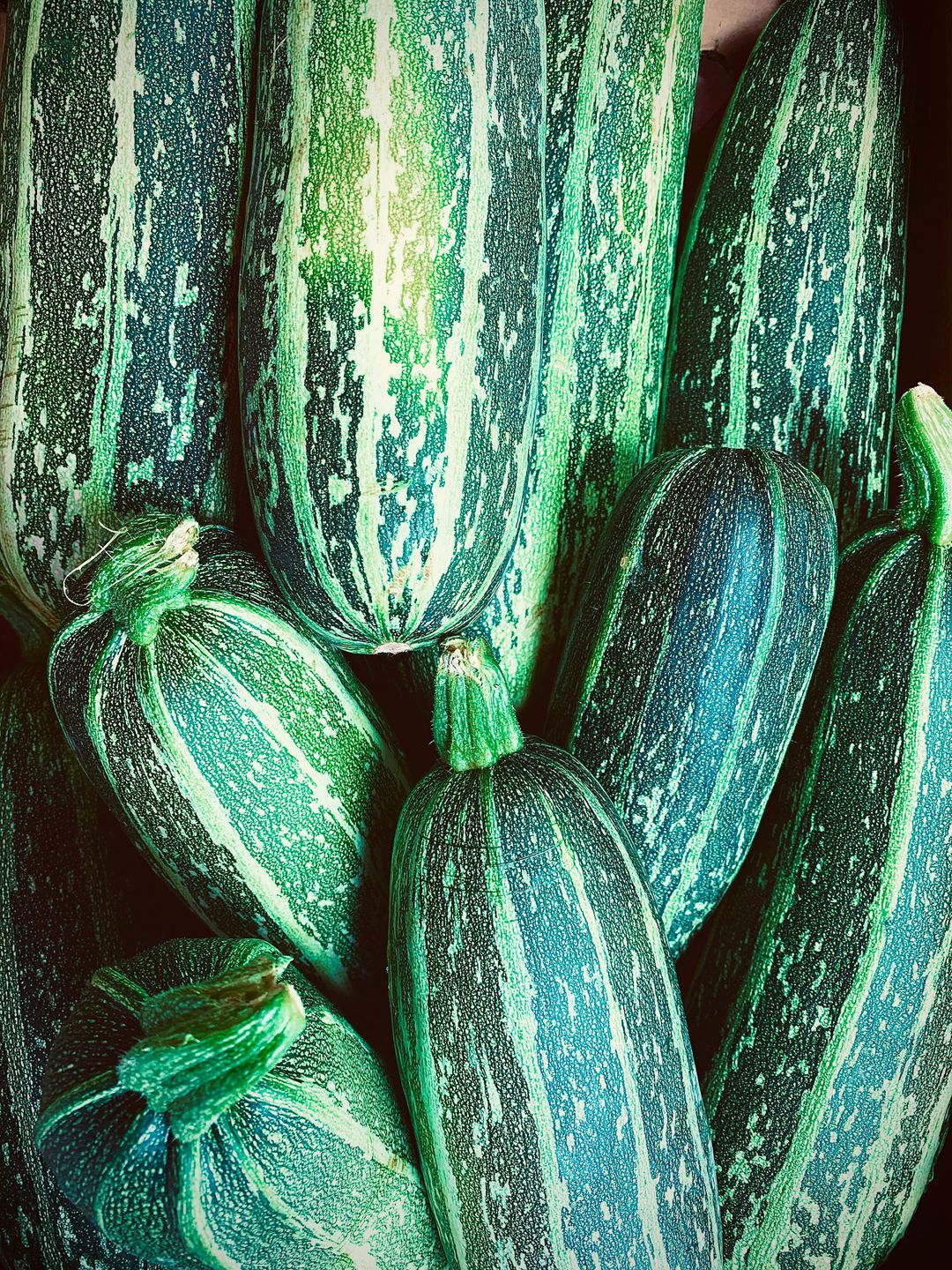Courgettes