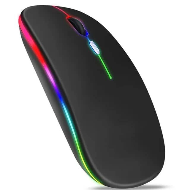 Souris RGB