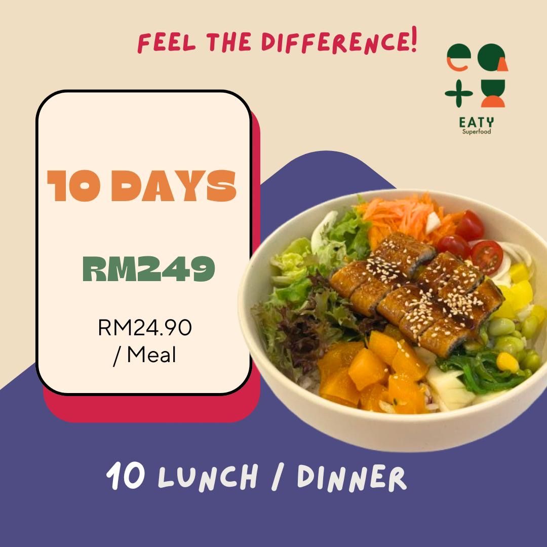 Lunch / Dinner (10 days)