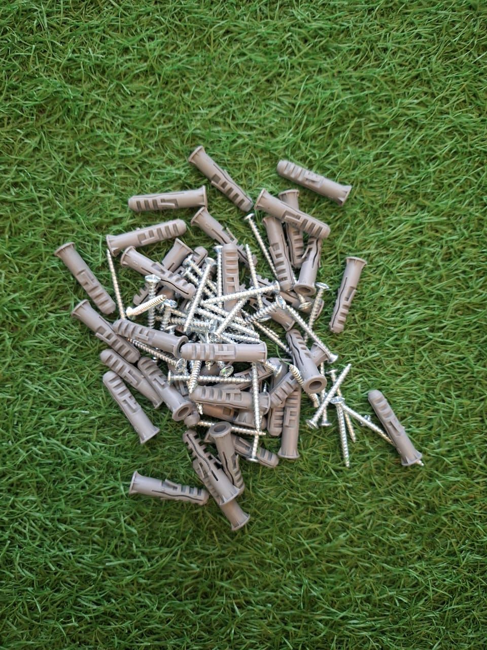 Wall Plugs with Screws (1 Box)