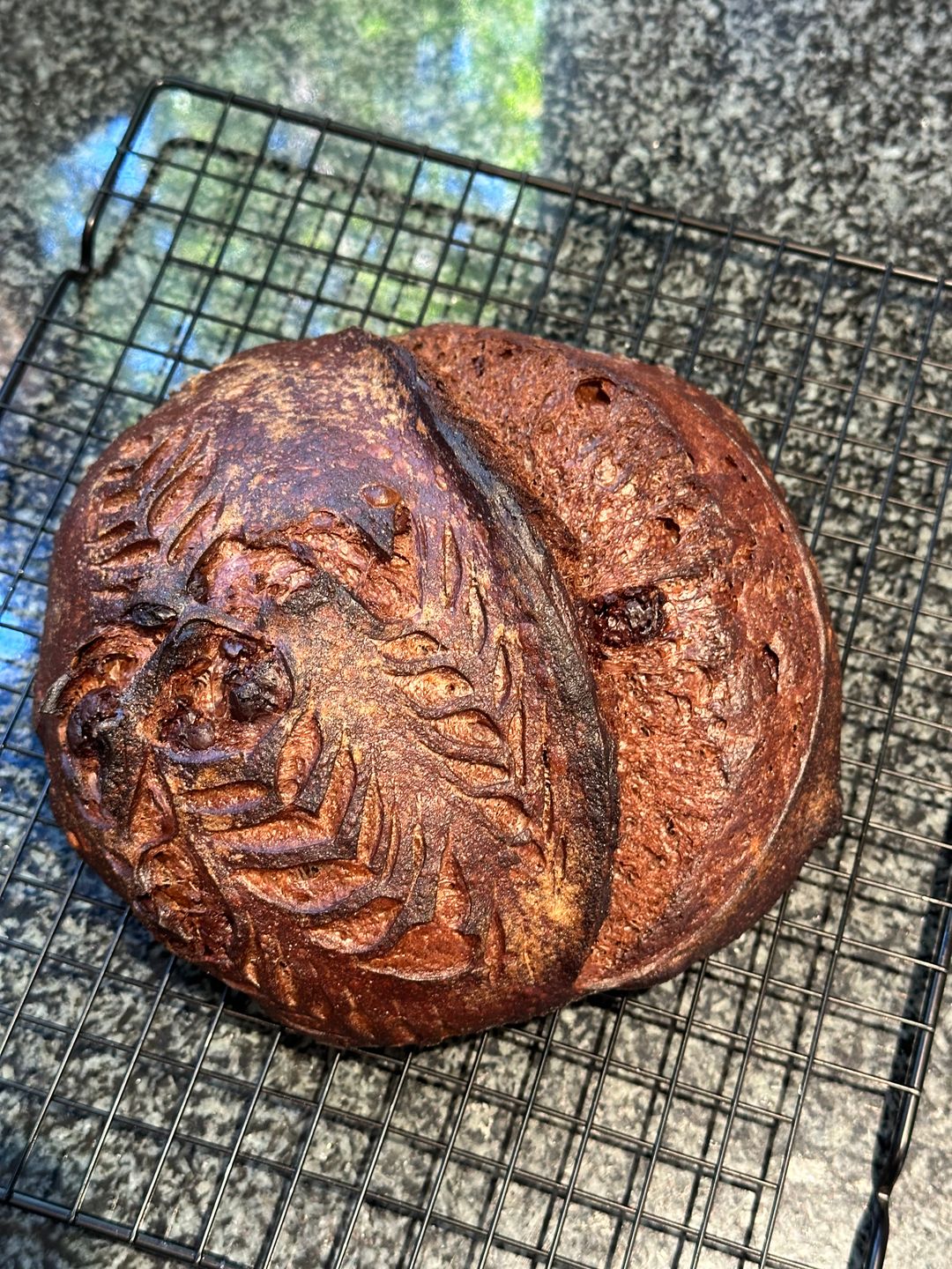 Chocolate Sourdough