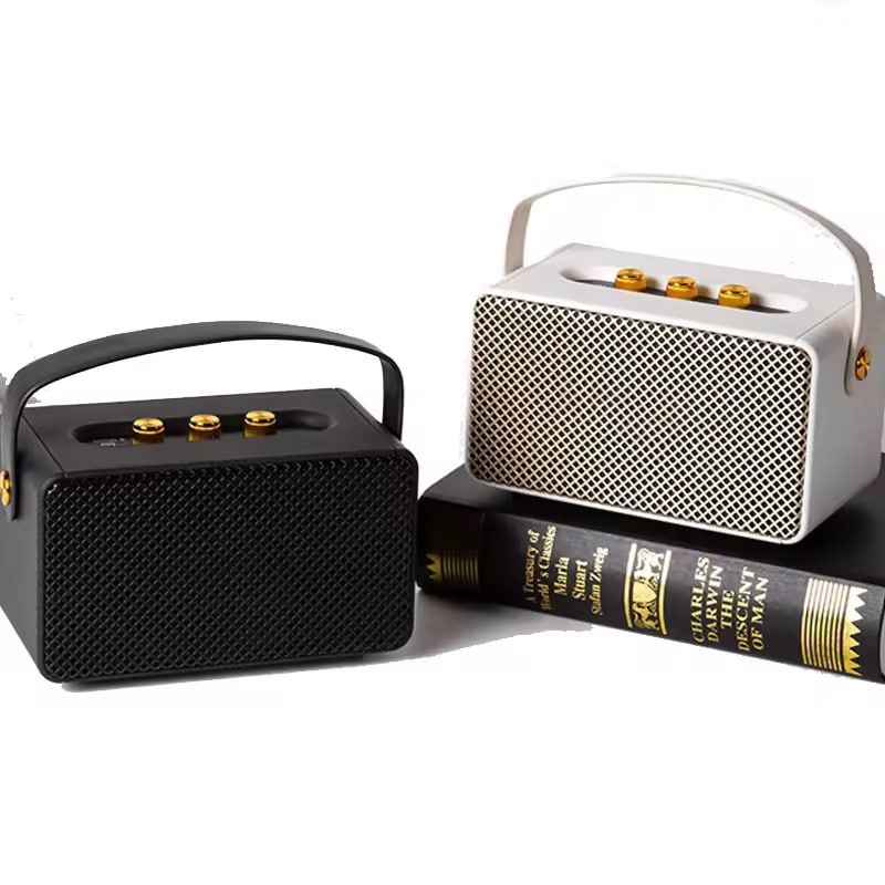 MARSHALL SPEAKER M10