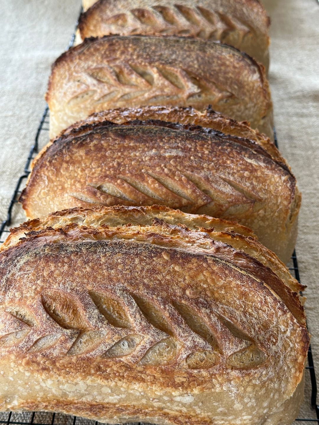 Loaf Tin Sourdough