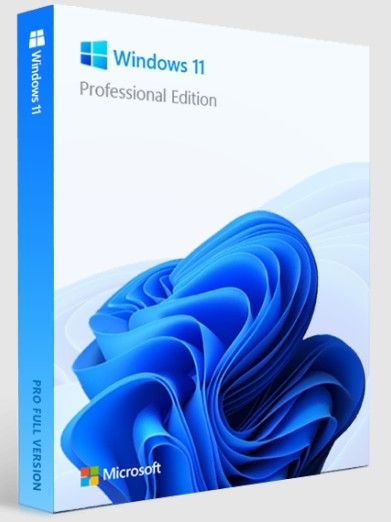 Windows 11 Pro 32/64 Bit