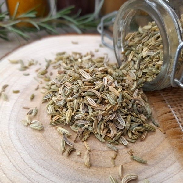 Grain de fenouil 