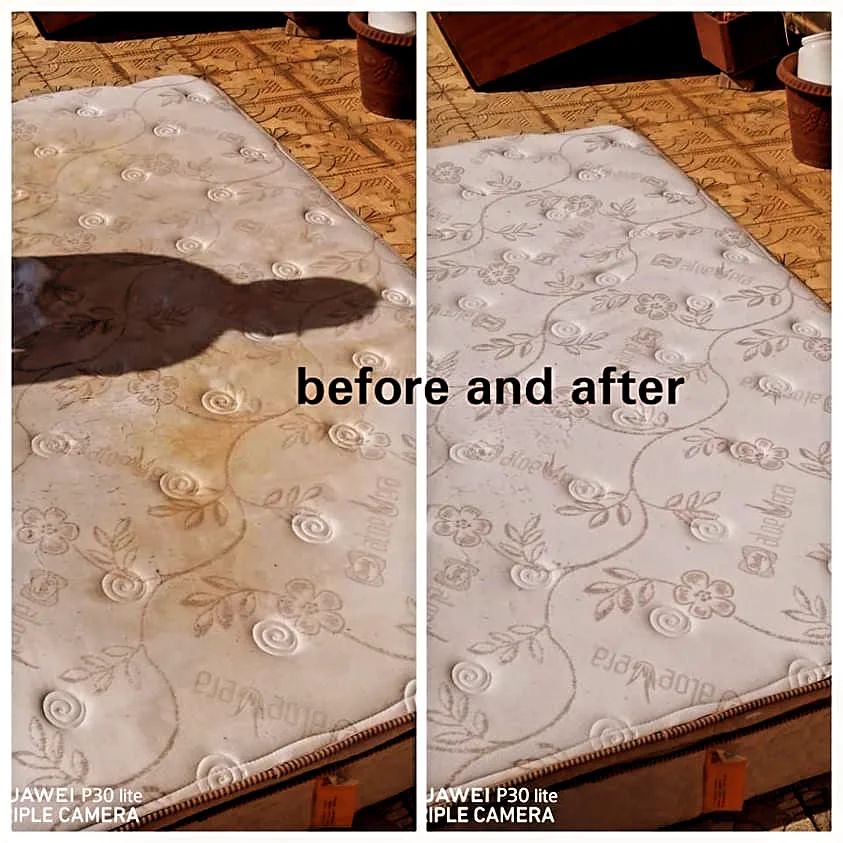 Mattress cleaning single size