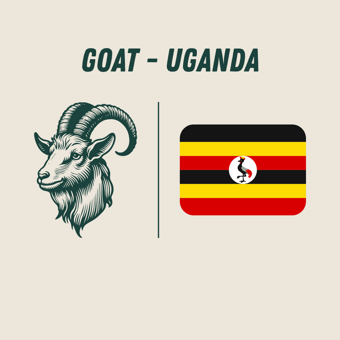 [Uganda] - Goat