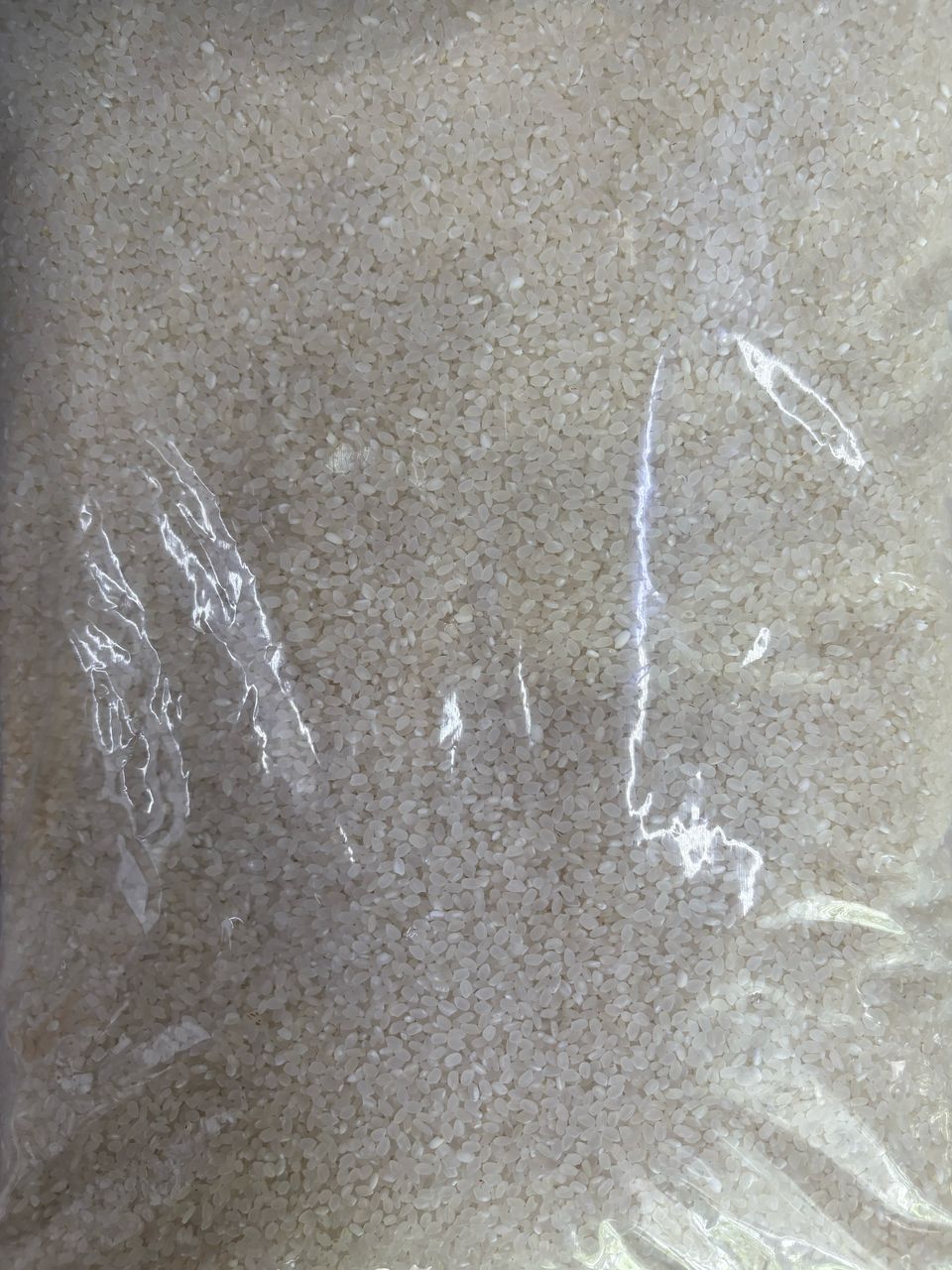 쌀
