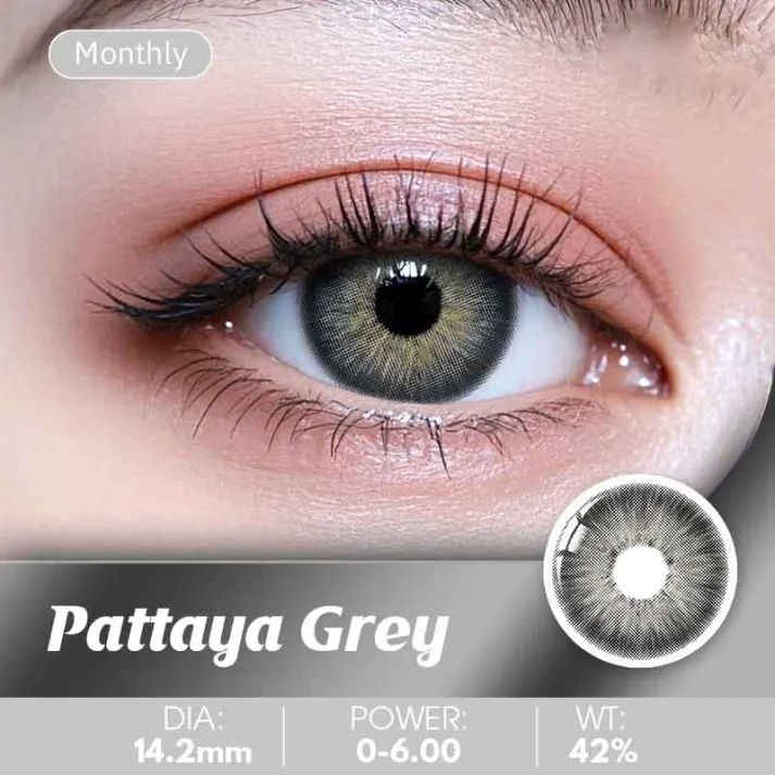 PATTAYA (Gray/Brown)