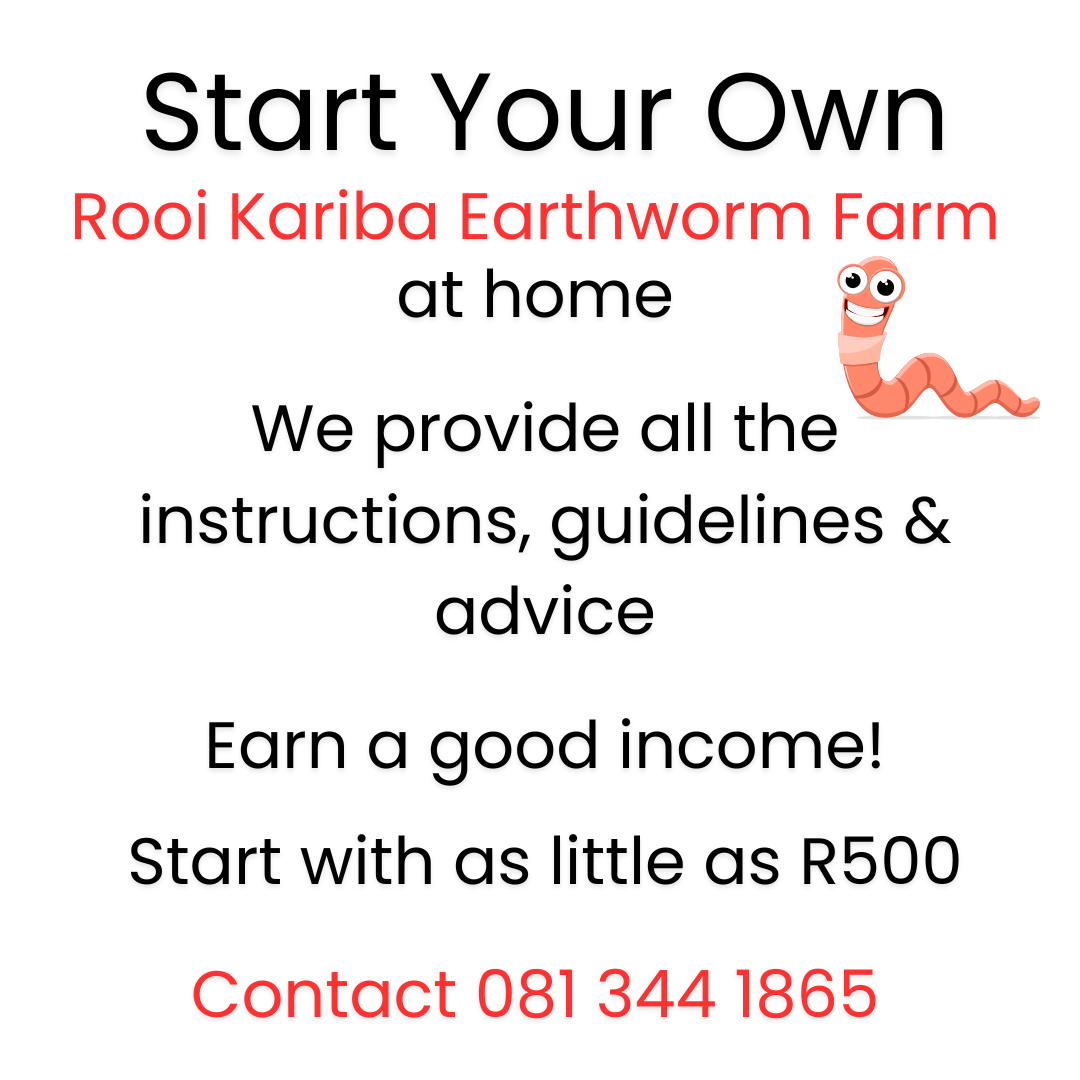 Rooi Kariba Worms (500 worms)