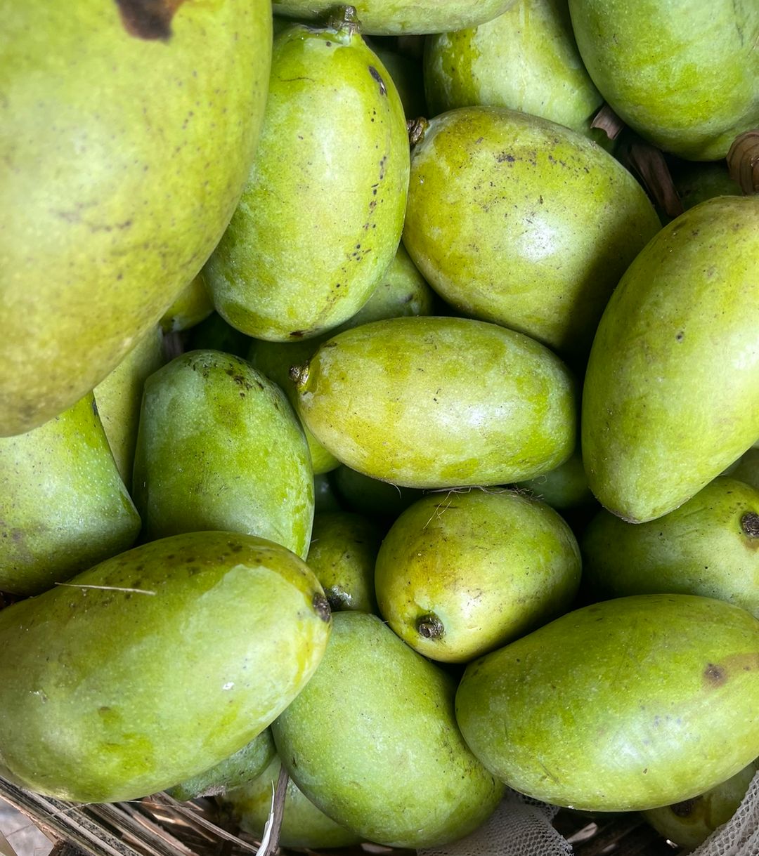 German/opioro mangoes 3pc