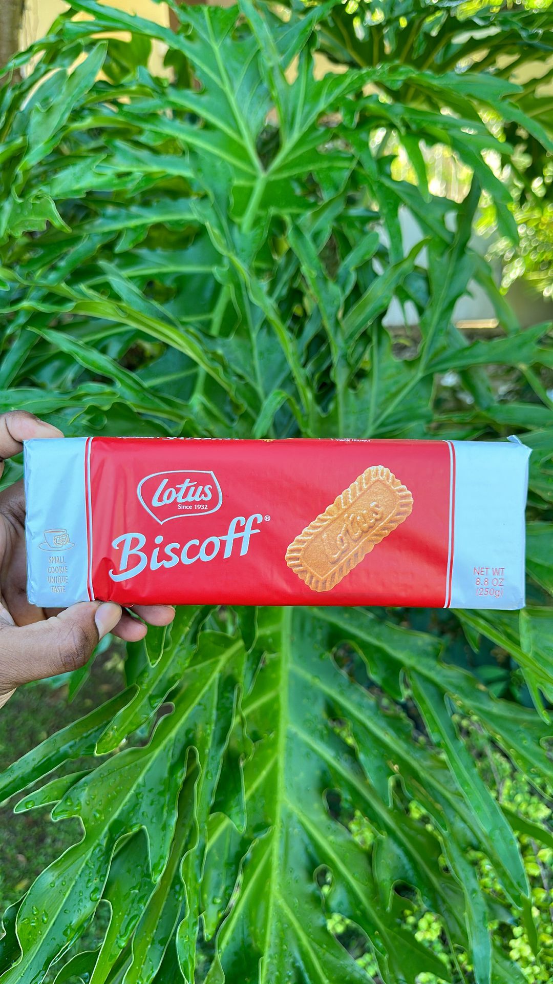 Lotus Biscoff