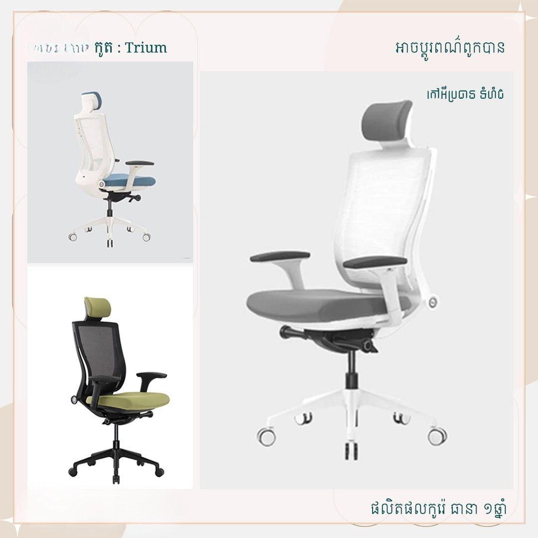 កៅអីកូរ៉េ TRIUM