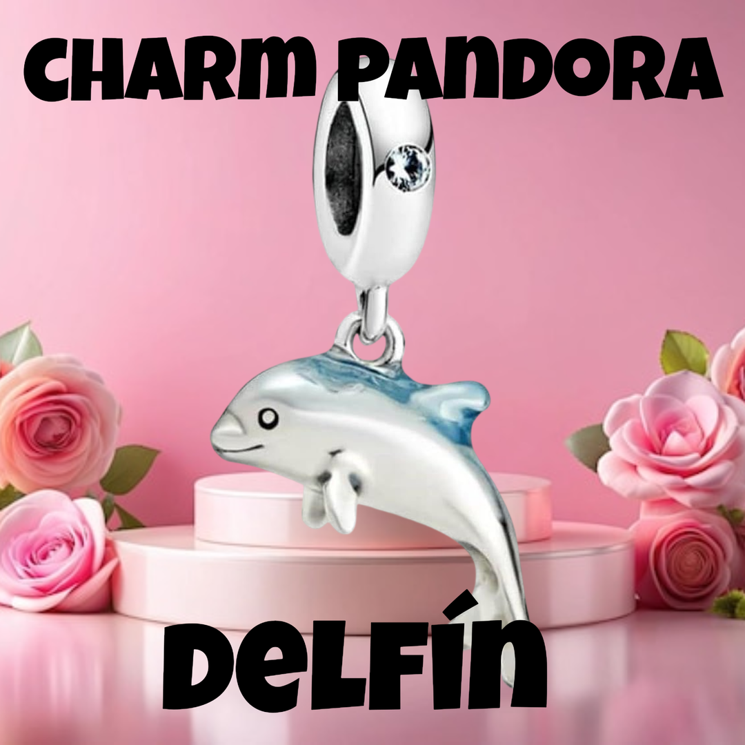 Charm delfin