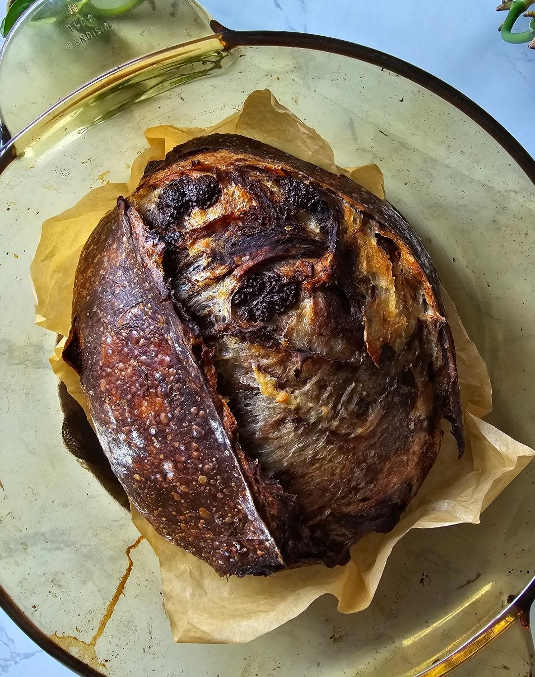 Double Chocolate Sourdough 