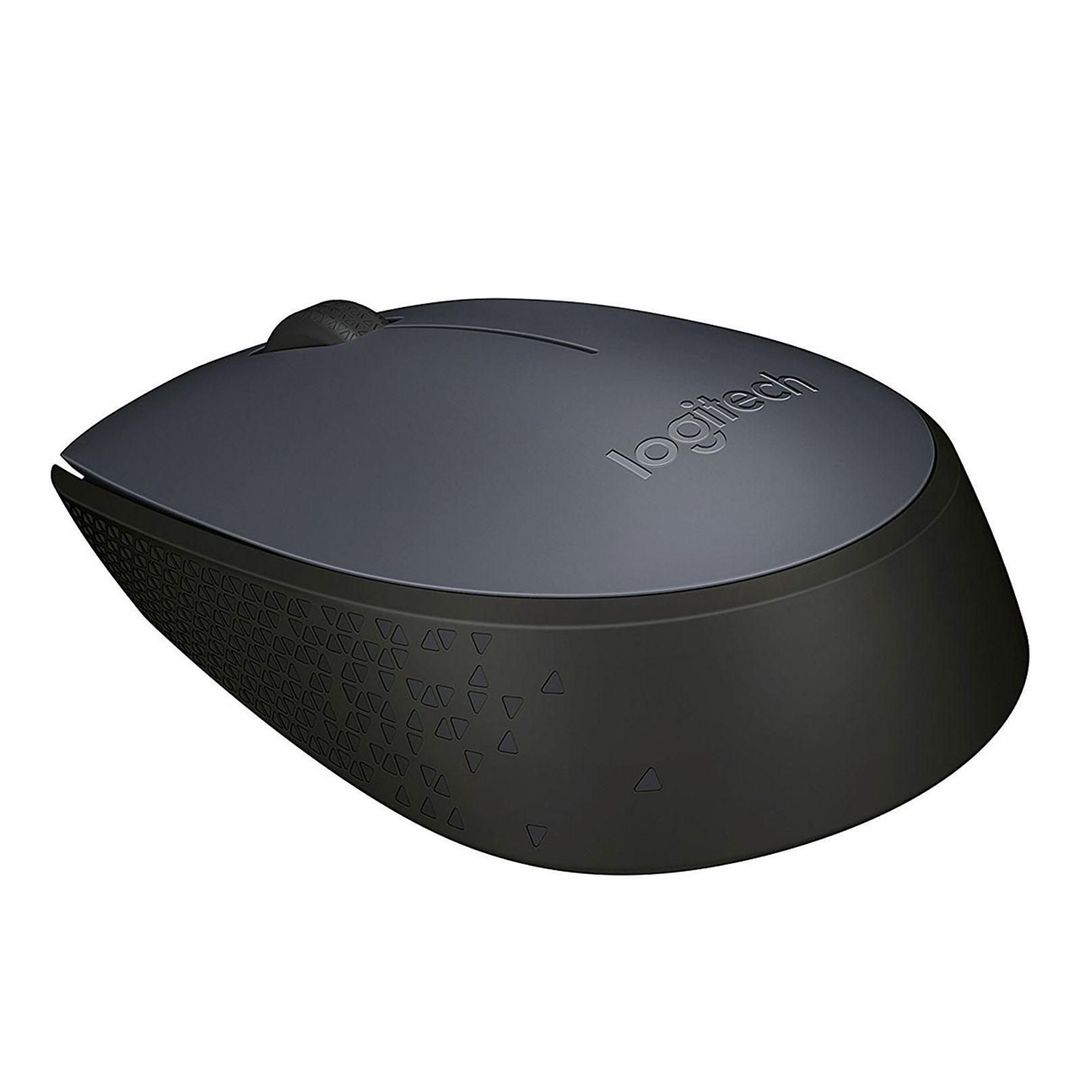 LOGITECH SOURIS M171