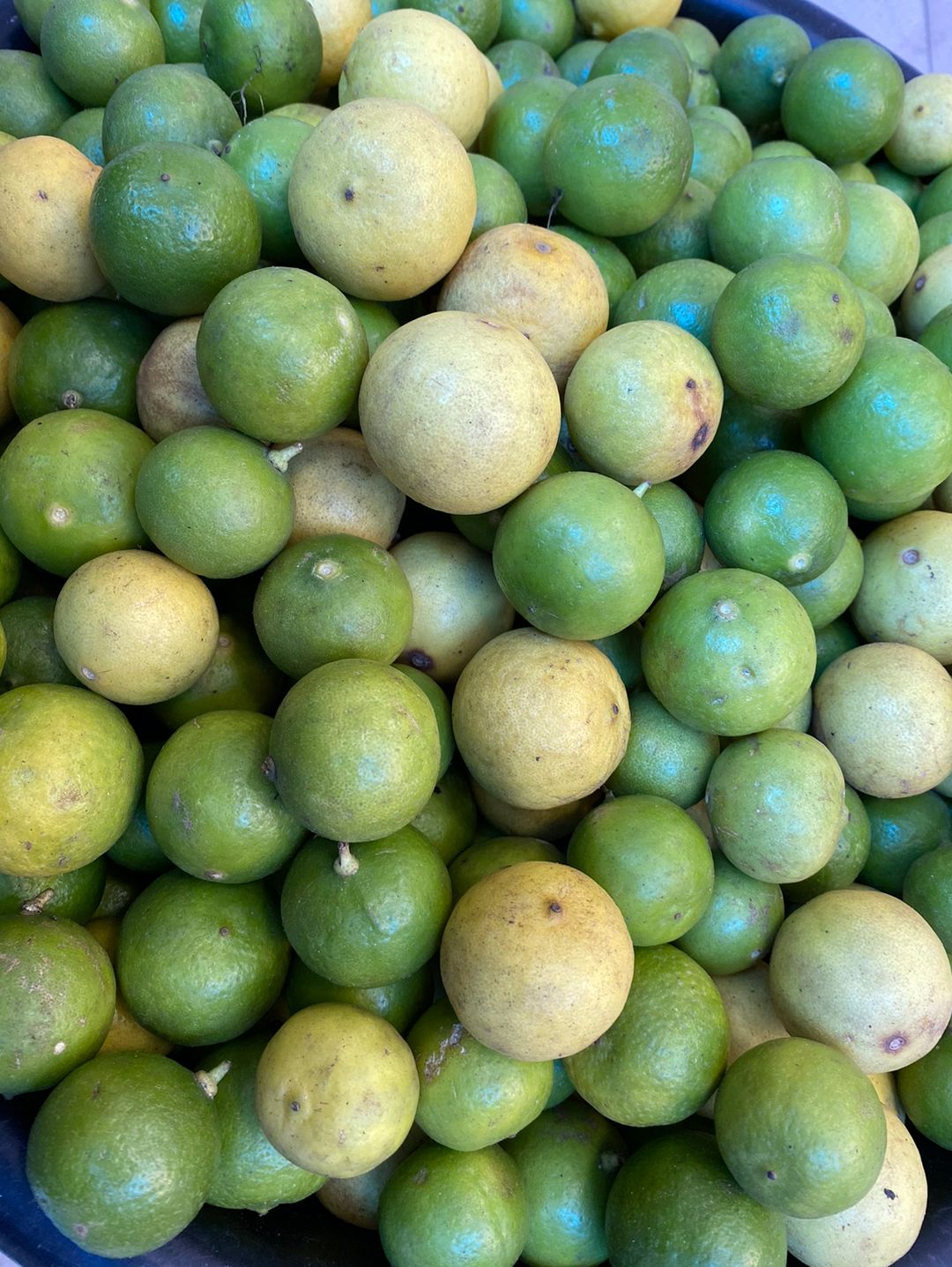 Key limes 6pcs