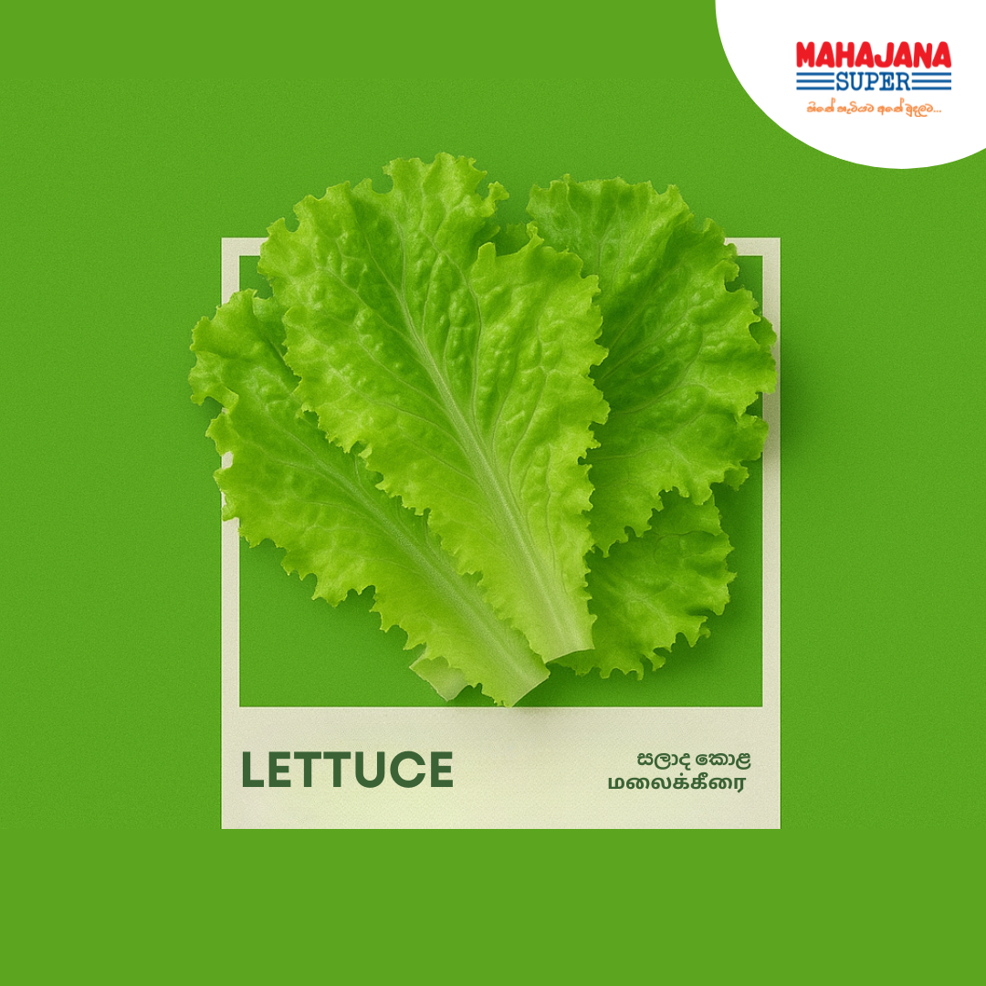 Lettuce Leaves