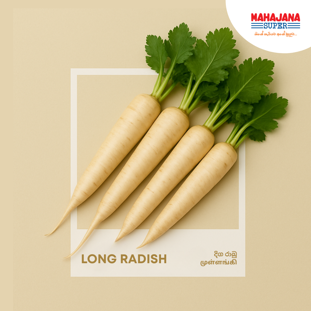 Long Radish