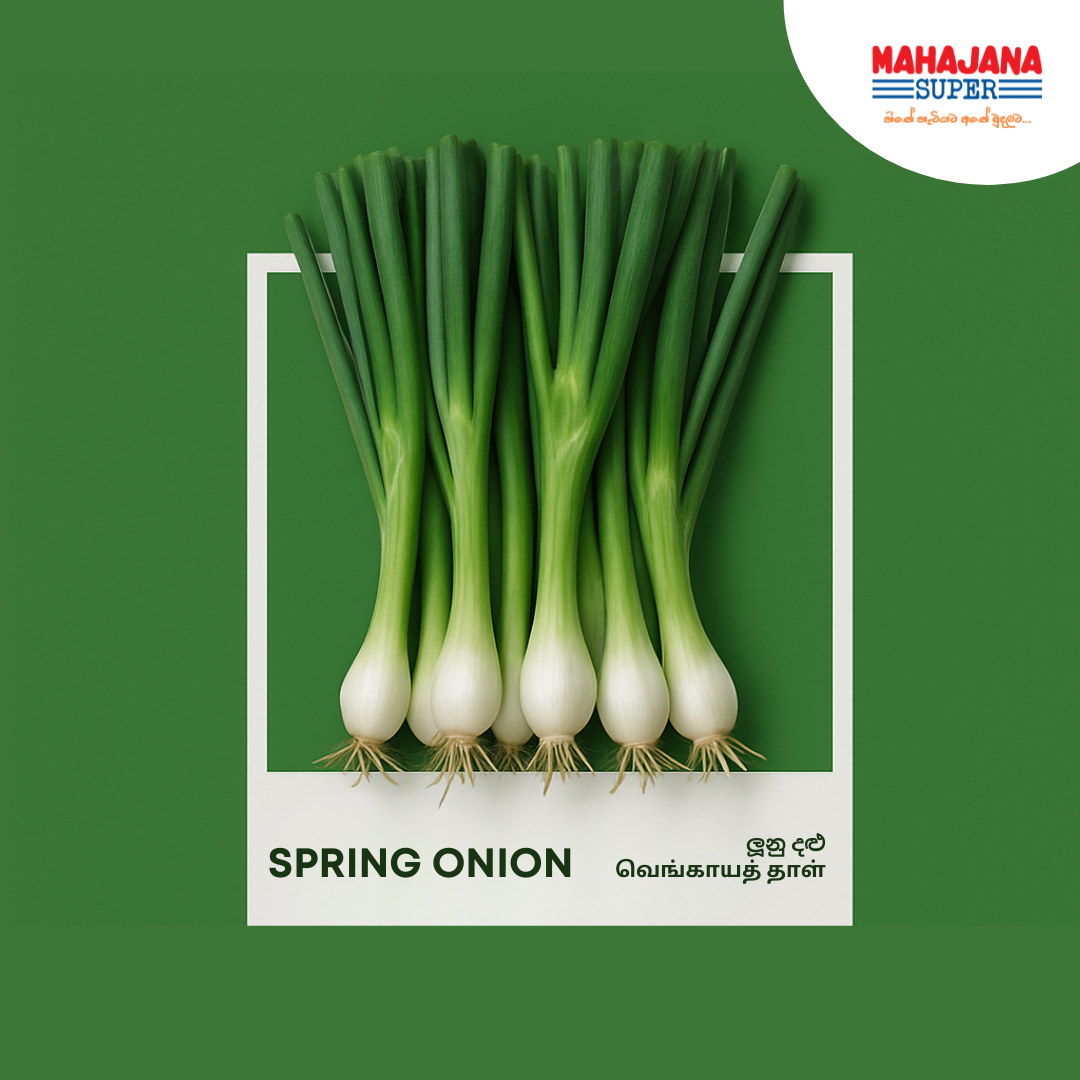 Spring Onion