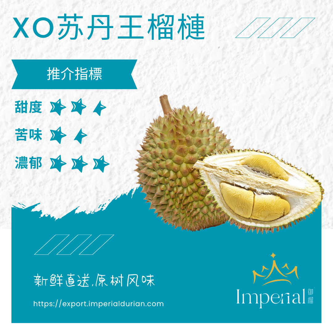 【D24】高山老树XO苏丹王榴槤